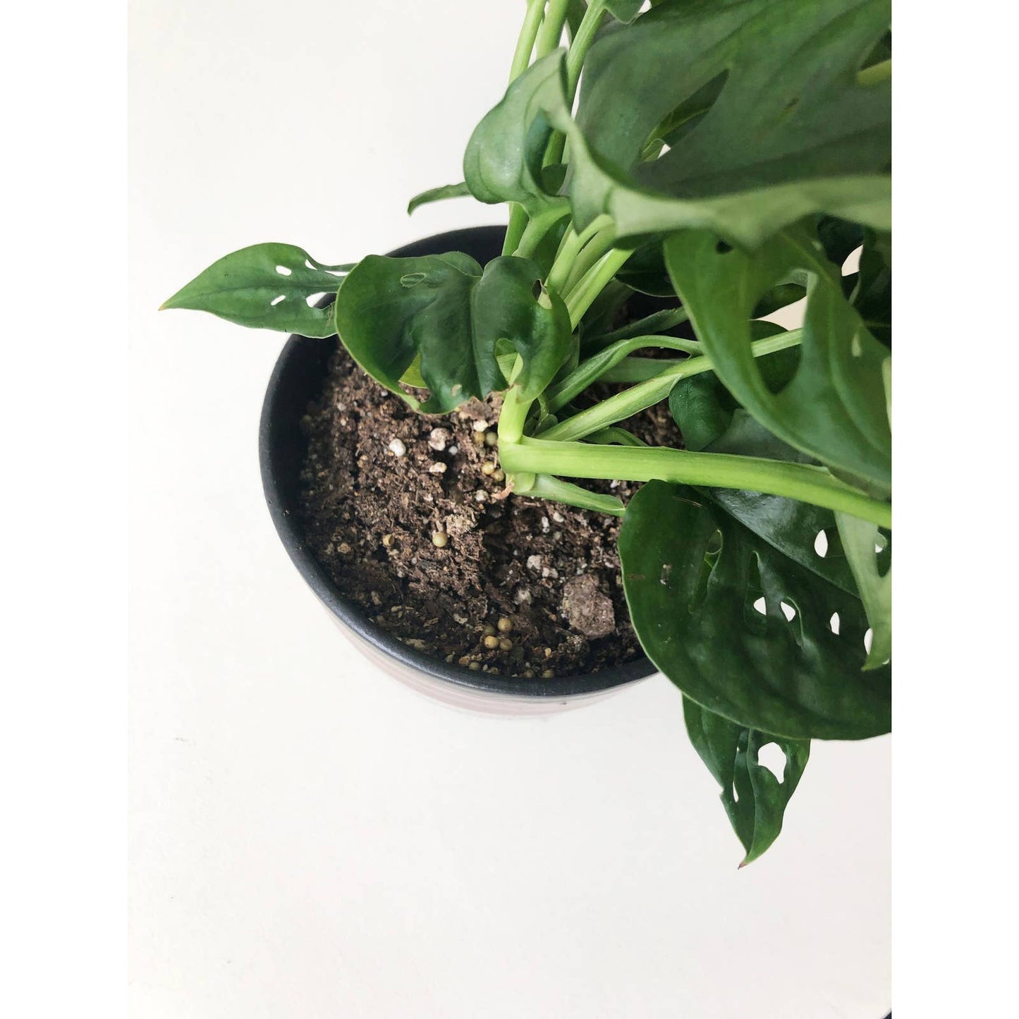 Vintage Handmade Decorative Vase