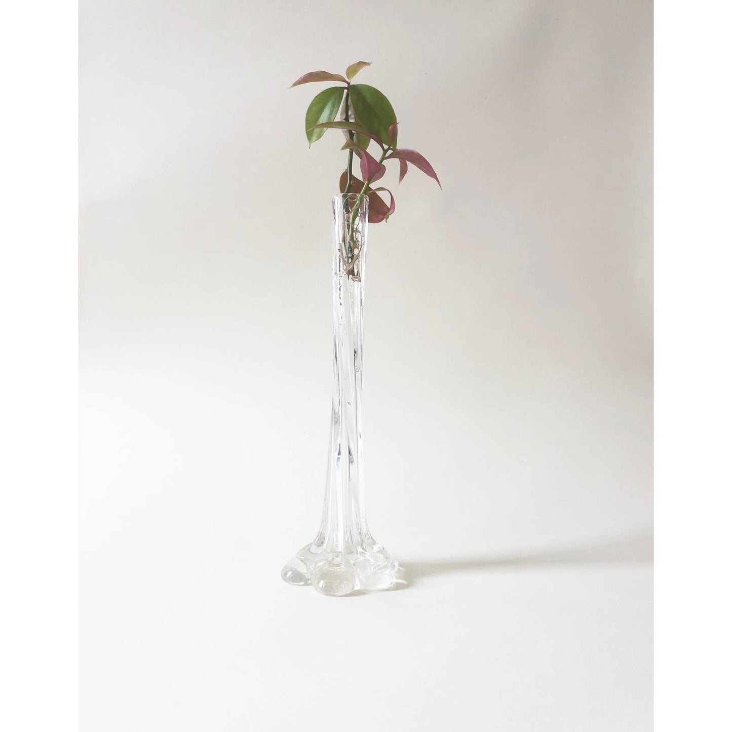 Vintage Tall Clear Glass Vase with Flower Base