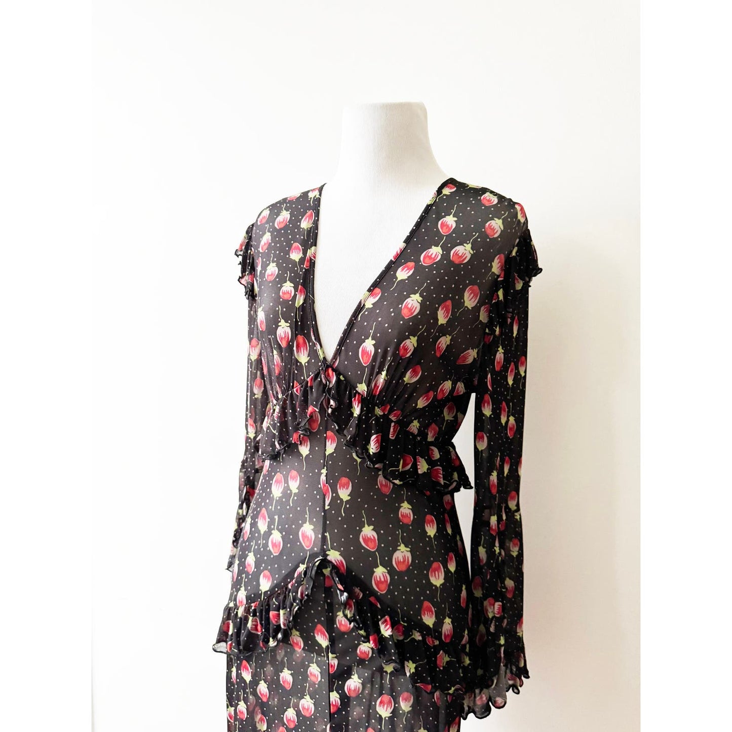 Y2k ANNA SUI Long Sleeve Mesh Floral Dress | Size 8