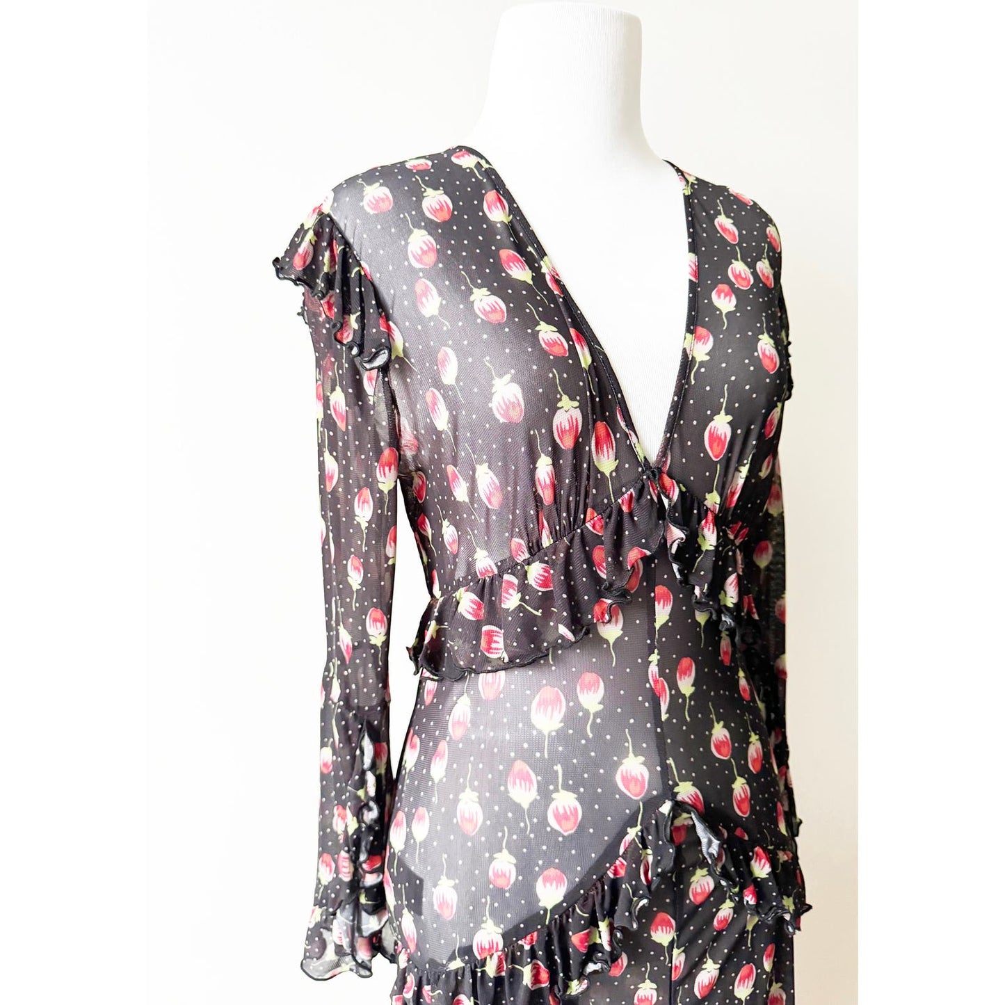 Y2k ANNA SUI Long Sleeve Mesh Floral Dress | Size 8