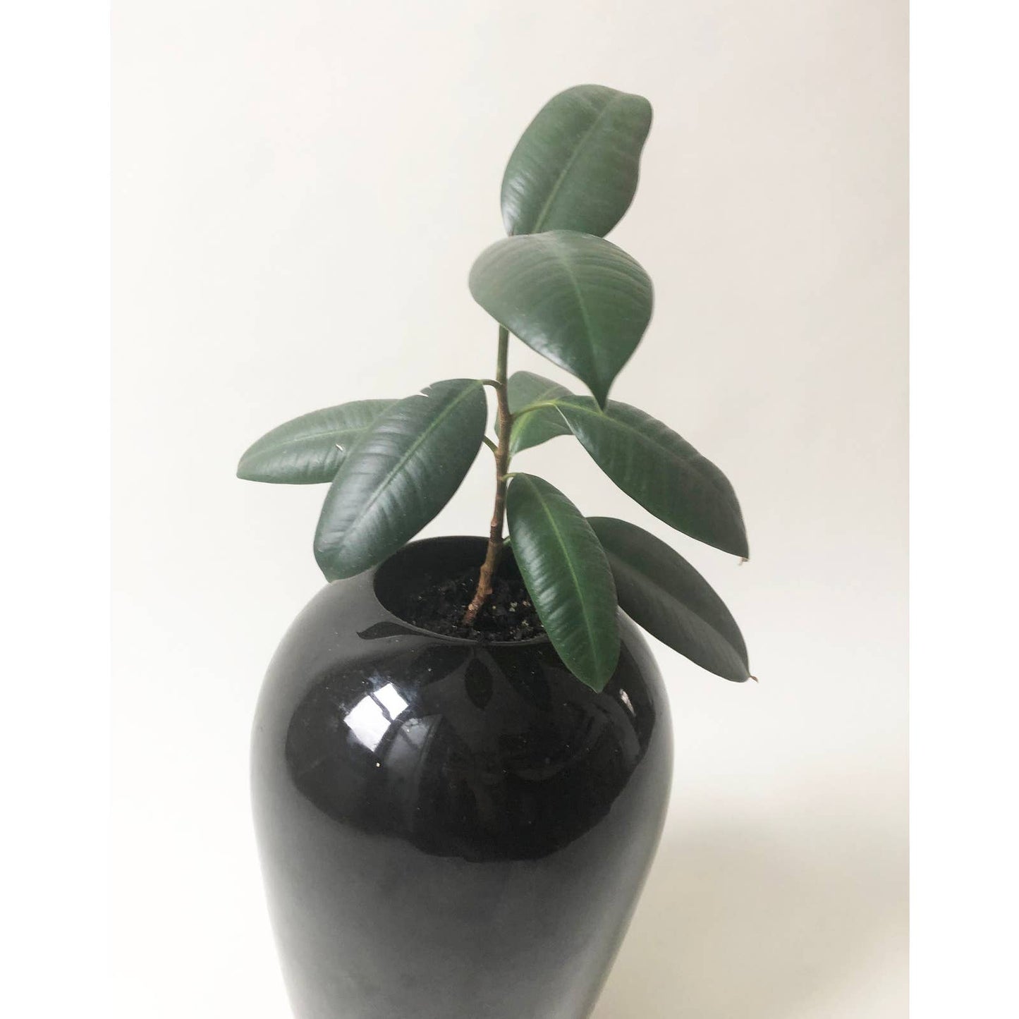 Large Vintage 80s Black Vase