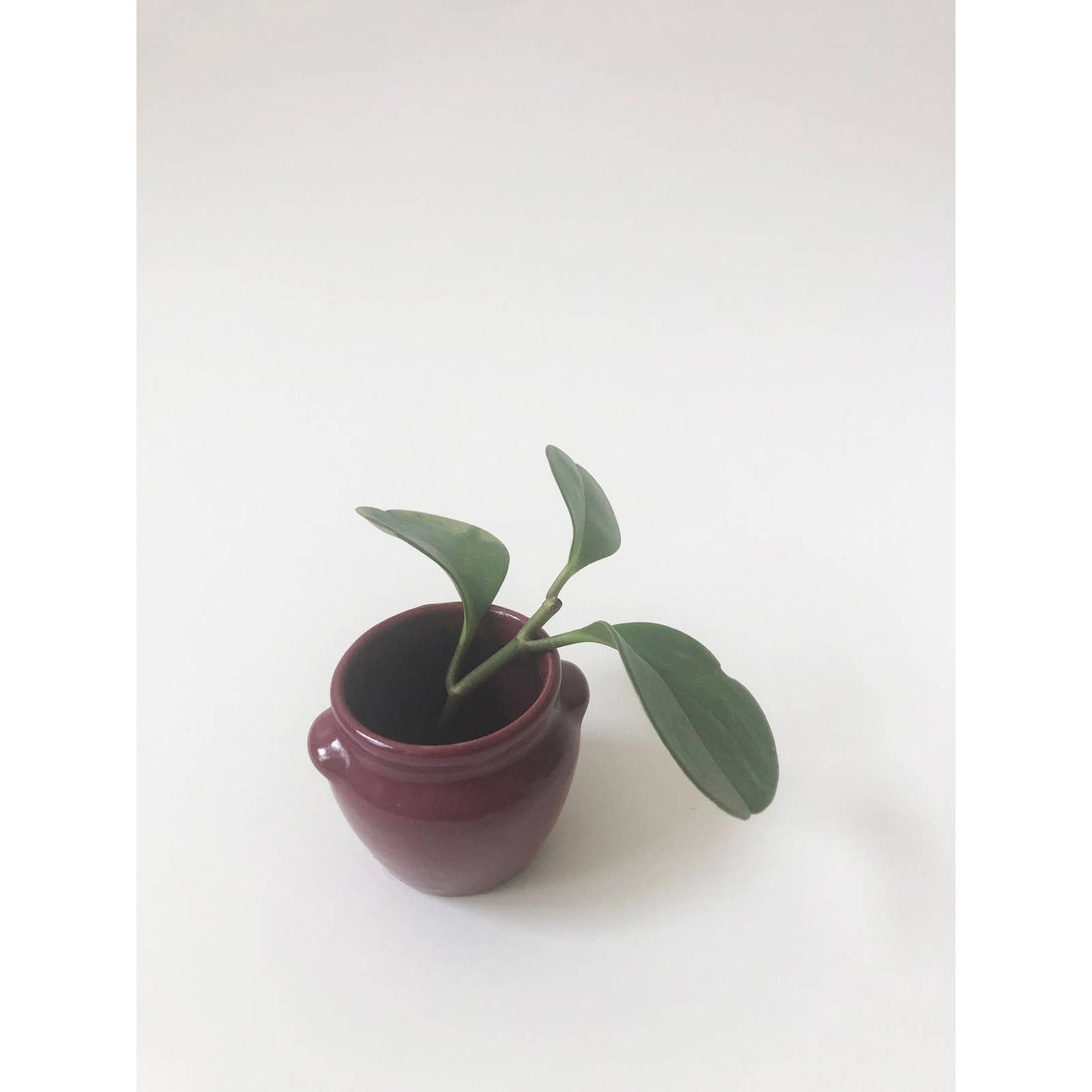 Vintage Mini Maroon Bud Vase
